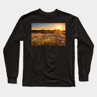 Cotton Grass on Cefn Bryn, Gower Long Sleeve T-Shirt